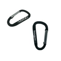 Personalized Aluminium alloy Carabiner WPZL8029