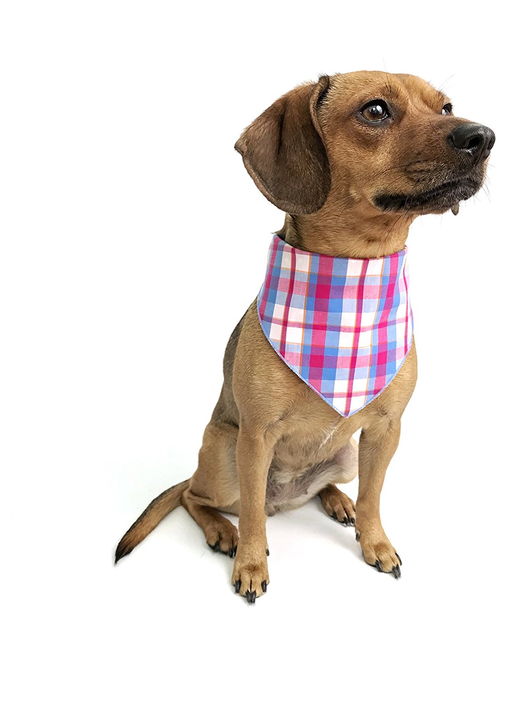 Adjustable Pet Bandanas Scarf WPJL8050