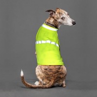 Adjustable Reflective Dog Vest WPJL8061