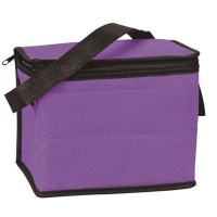 Non-woven Fabric Cooler Bag WPLL045